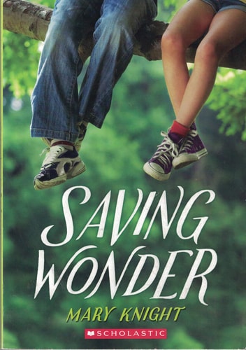 Saving Wonder