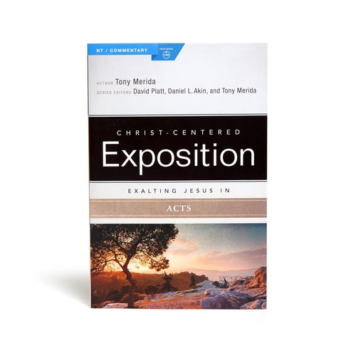 Exalting Jesus in Acts (Christ-Centered Exposition Commentary)