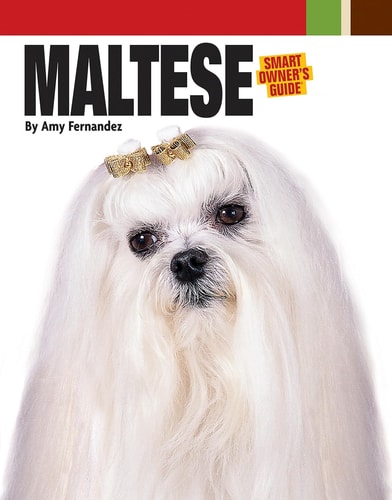 Maltese (Smart Owner's Guide)