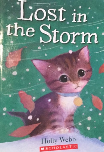 Lost in the Storm