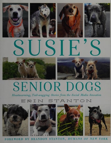 Susie's Senior Dogs
