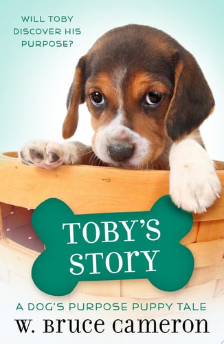 Toby's Story A Puppy Tale
