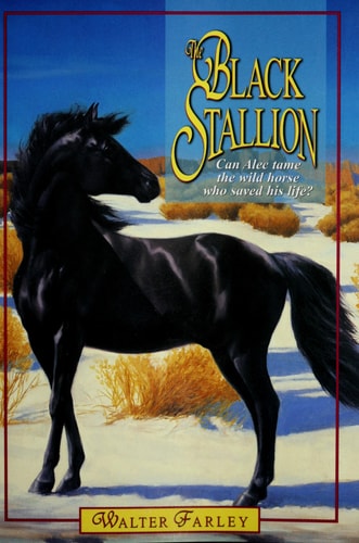 The Black Stallion