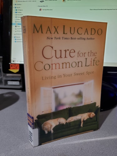 Cure for the Common Life Living in Your Sweet Spot