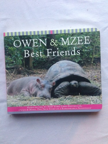Owen and Mzee