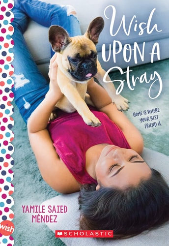 Wish Upon a Stray: A Wish Novel