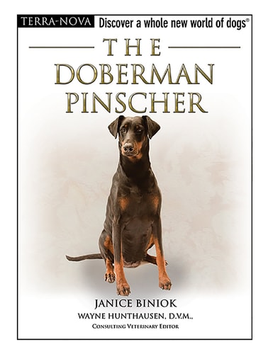 The Doberman Pinscher (Book & DVD)