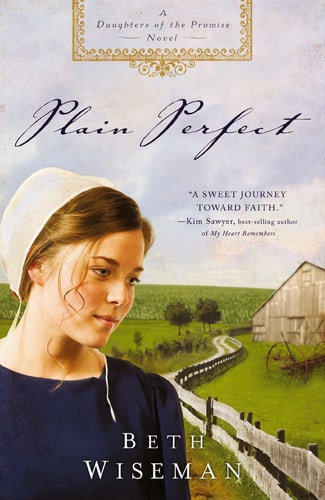 PLAIN PERFECT [Plain Perfect ] BY Wiseman, Beth(Author)Paperback 09-Sep-2008