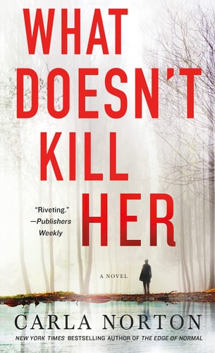 What Doesn't Kill Her A Novel