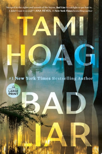Bad Liar A Novel