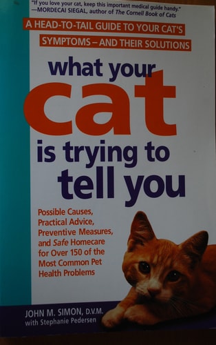 What Your Cat Is Trying to Tell You