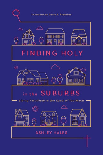 Finding Holy in the Suburbs Living Faithfully in the Land of Too Much
