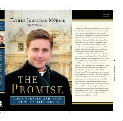 The Promise God's Purpose and Plan for When Life Hurts