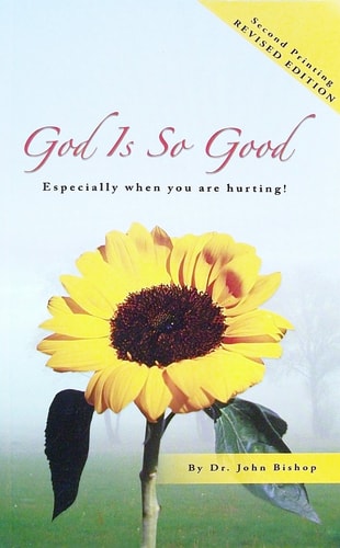 God is So Good Especially when You are Hurting!.