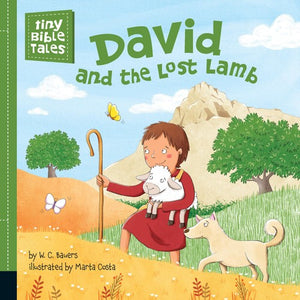 David and the Lost Lamb (Tiny Bible Tales)