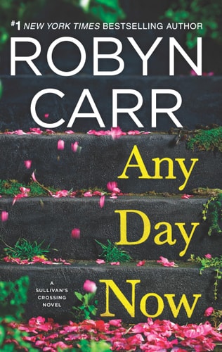 Any Day Now: A Novel (Sullivan's Crossing Book 2)