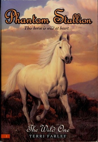 The Wild One (Phantom Stallion #1)