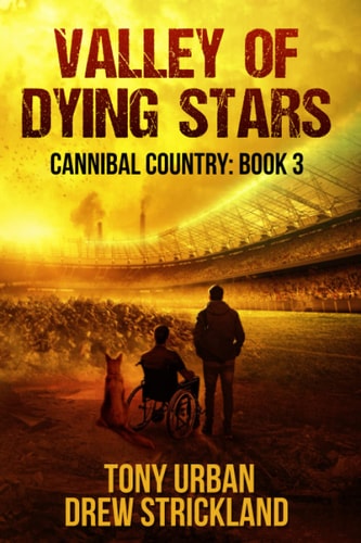 Valley of Dying Stars A Post Apocalyptic Thriller
