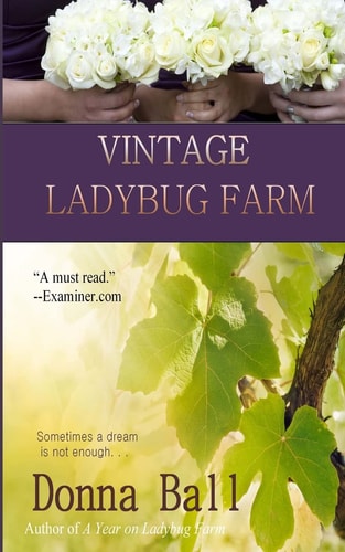 Vintage Ladybug Farm