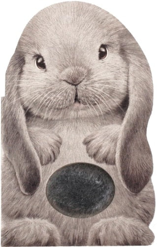 Furry Bunny: A Mini Touch and Feel Book for Baby and Toddler Easter Gift, (Sweet Shower Gift, Sensory Book, Animal Book, Baby Animals Book) (Mini Friends Touch & Feel)