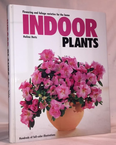 Indoor Plants