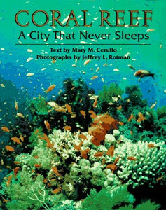 Coral Reef: A City that Never Sleeps