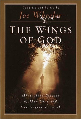 The Wings of God: Miraculous Stories of Our Lord and His Angels at Work