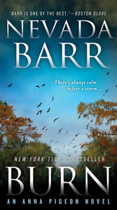 Burn: An Anna Pigeon Novel (Anna Pigeon Mysteries, 16)