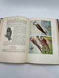 The Nature Encyclopedia Vol. 1 (1927)