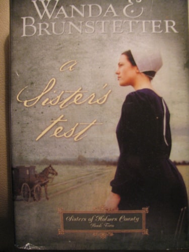 A Sister's Test (Sisters of Holmes County #2)