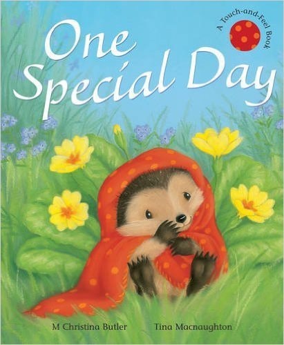 Ons Special Day (Touch & Feel)