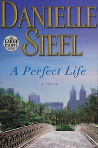 A Perfect Life: A Novel