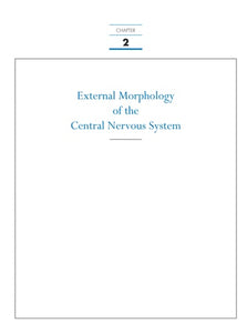 Neuroanatomy: An Atlas of Structures, Sections, and Systems