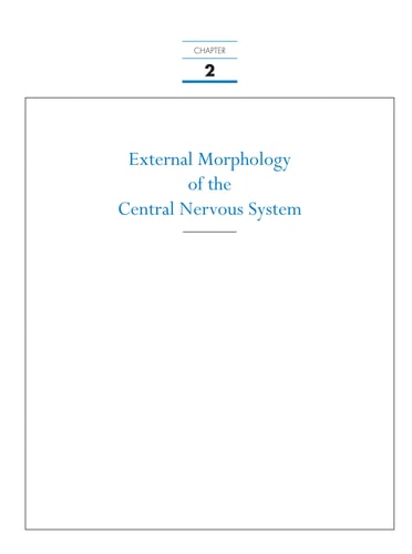 Neuroanatomy: An Atlas of Structures, Sections, and Systems