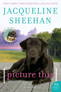 Picture This: A Novel