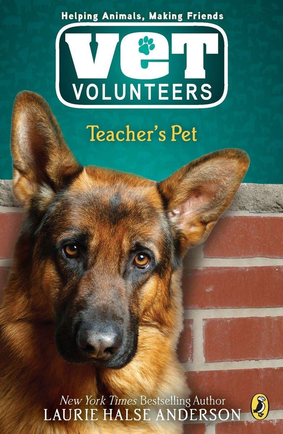 Teacher's Pet (Vet Volunteers)