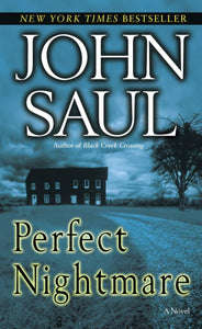 Perfect Nightmare: A Novel
