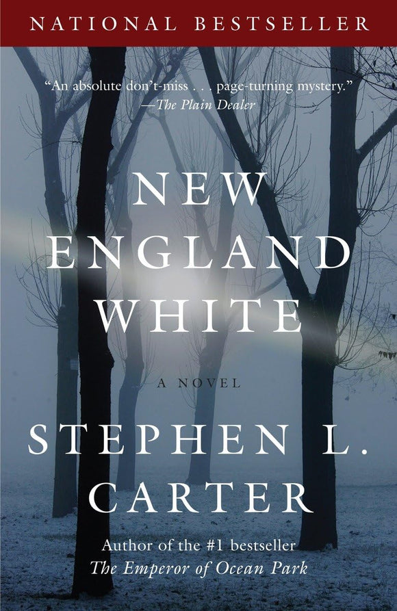 New England White: A Novel (Vintage Contemporaries)