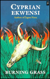 Burning Grass (African Writers Series)