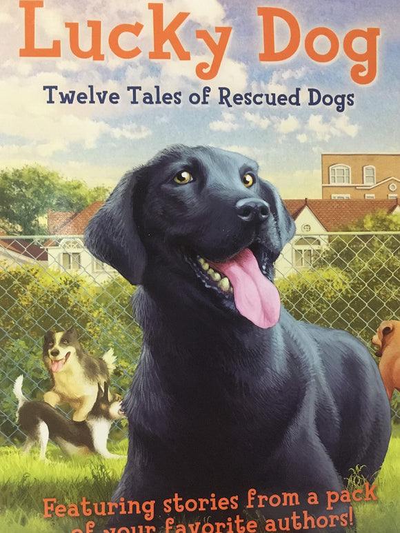 Lucky Dog: Twelve Tales of Rescued Dogs