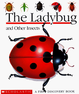 The Ladybug and Other Insects (A First Discovery Book)