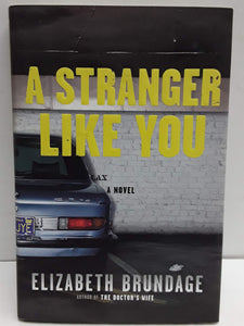 A Stranger Like You: A Novel