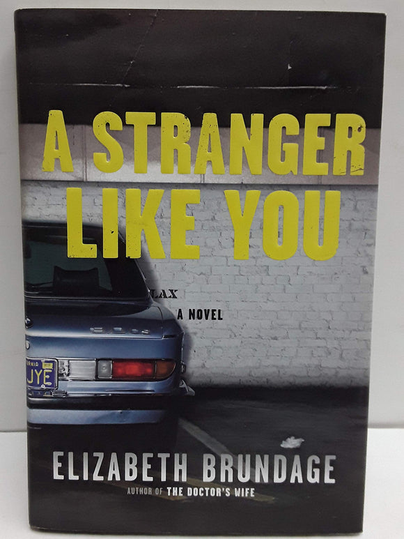 A Stranger Like You: A Novel