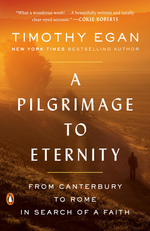 A Pilgrimage to Eternity: From Canterbury to Rome in Search of a Faith