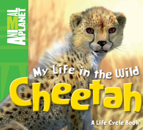 My Life in the Wild: Cheetah (Animal Planet)