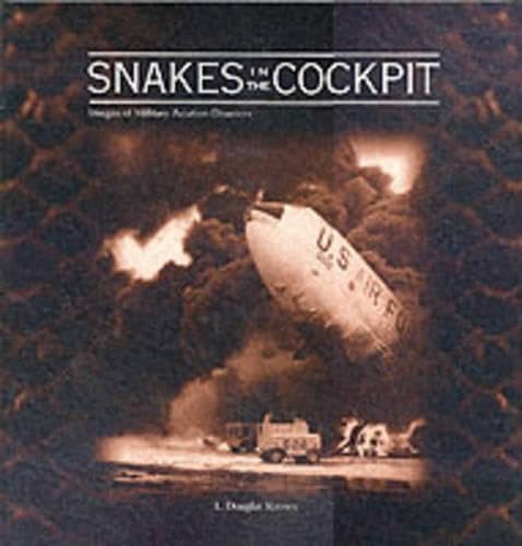 Snakes in the Cockpit: Images of Military Aviation Disasters