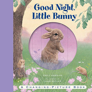 Good Night, Little Bunny: A Changing-Picture Book
