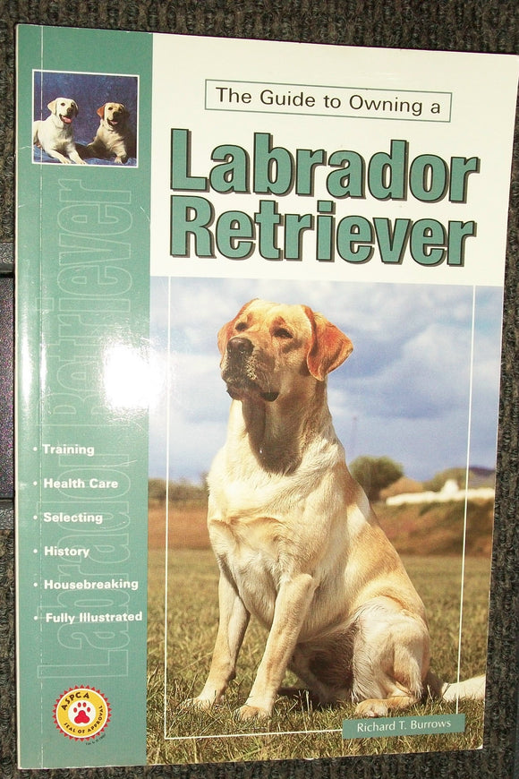 The Guide to Owning Labrador Retriever