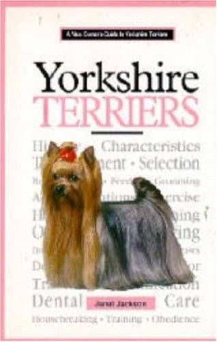 A New Owner's Guide to Yorkshire Terriers