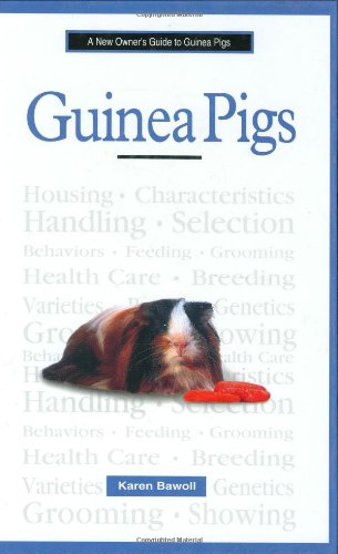 A New Owner's Guide to Guinea Pigs